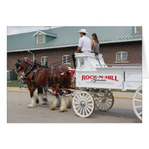 Draft Horses at a State Fair Cards
