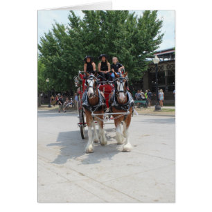Draft Horses at a State Fair Cards