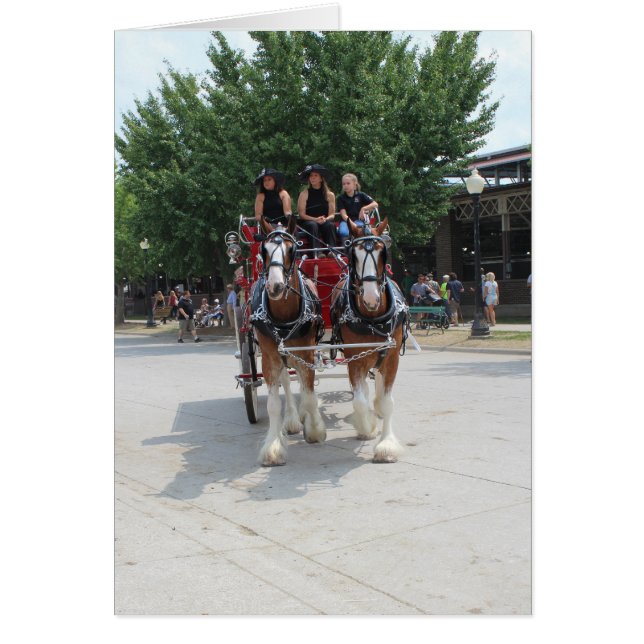 Draft Horses at a State Fair Cards (Front)