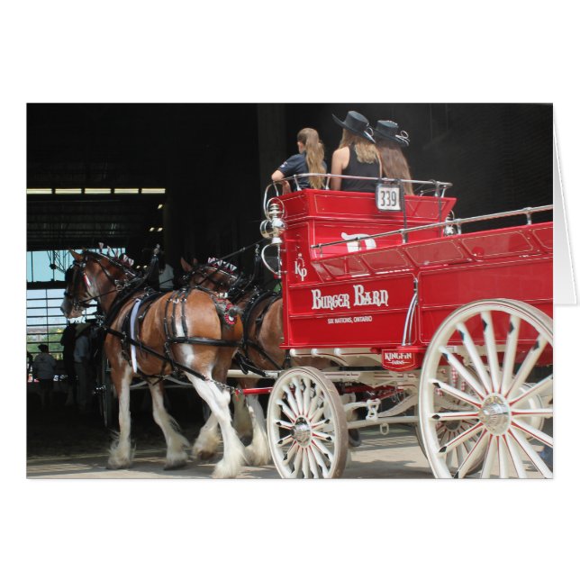 Draft Horses at a State Fair Cards (Front Horizontal)