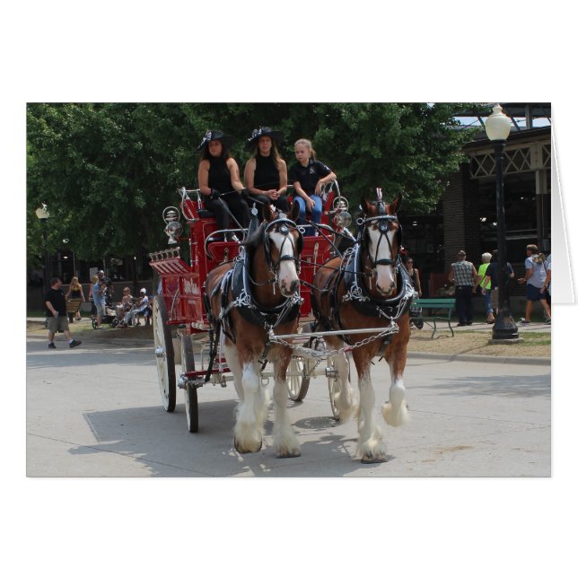 Draft Horses at a State Fair Pulling Red Wagon Cards (Front Horizontal)