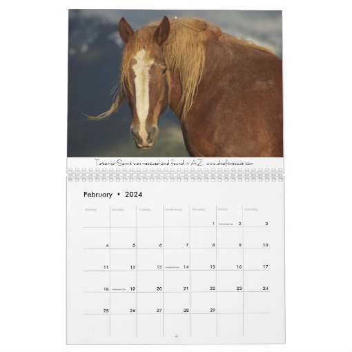 Draft Horses Calendar 2 Zazzle