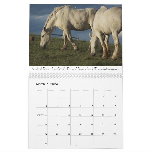 Draft Horses Calendar 2 Zazzle