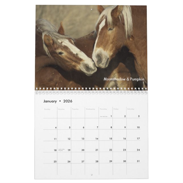 Draft Horses Calendar #3 (Jan 2026)
