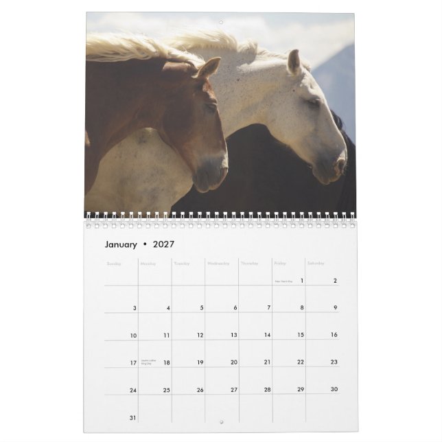 Draft Horses Calendar #4 (Jan 2027)