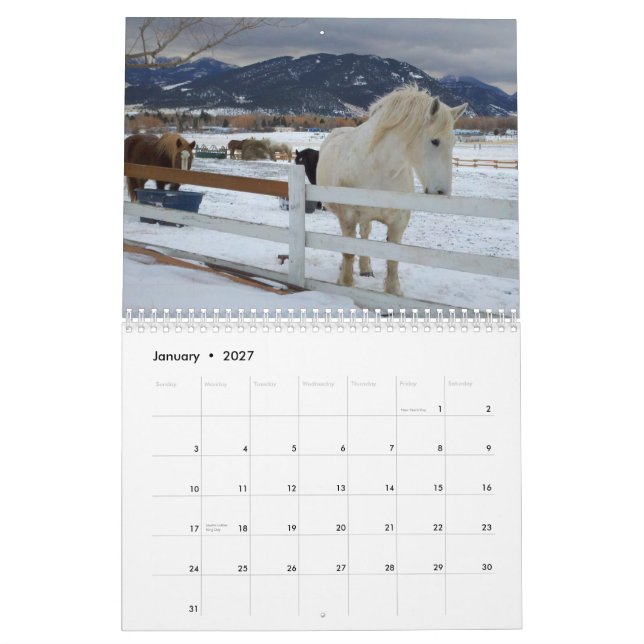 Draft Horses Calendar #5 (Jan 2027)