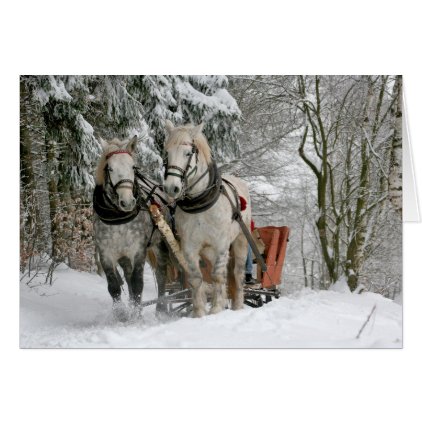 Draft Horses Christmas Card