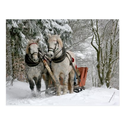 Draft Horses Christmas Postcard