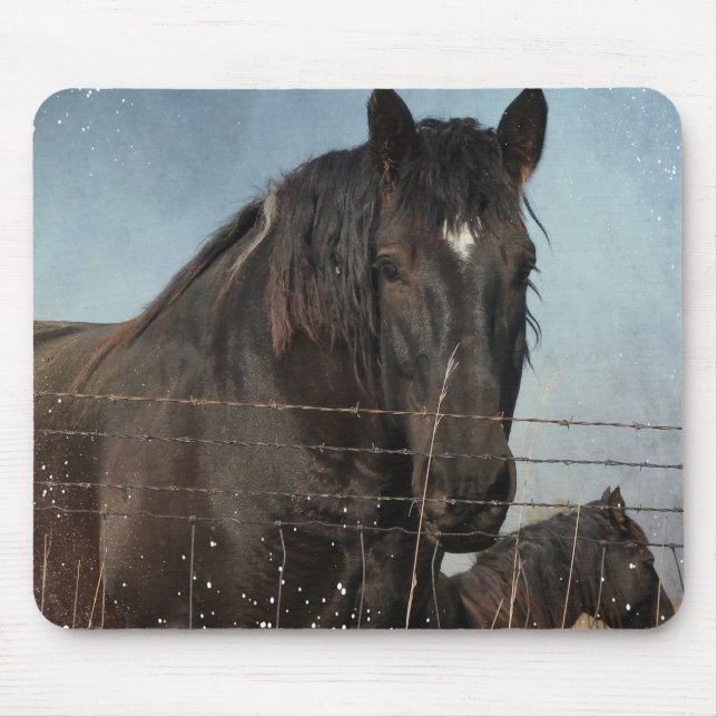 Draft Horses in a pasture Mouse Pad (Front)