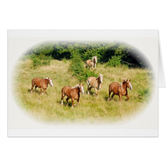 Draft horses in field cards (Front Horizontal)