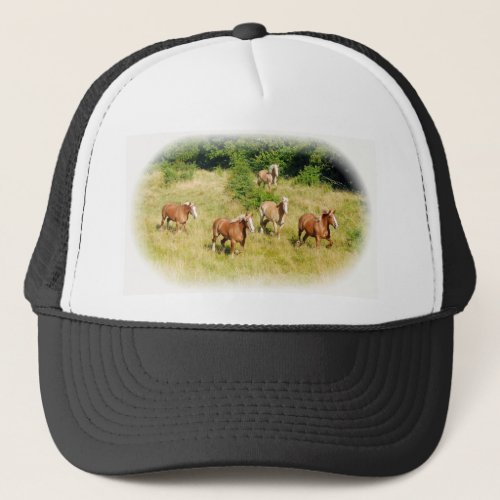 Draft horses in field trucker hat