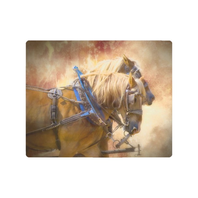 Draft Horses in Harness Metal Print (Front)