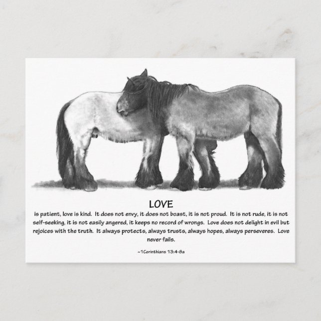 Draft Horses in Pencil: Bible Verses About LOVE Postcard (Front)