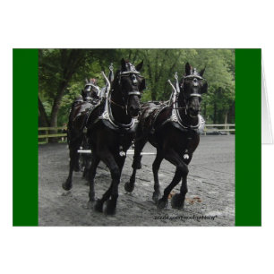 Draft Horses In Step Cards