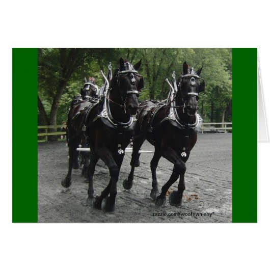 Draft Horses In Step Cards (Front Horizontal)