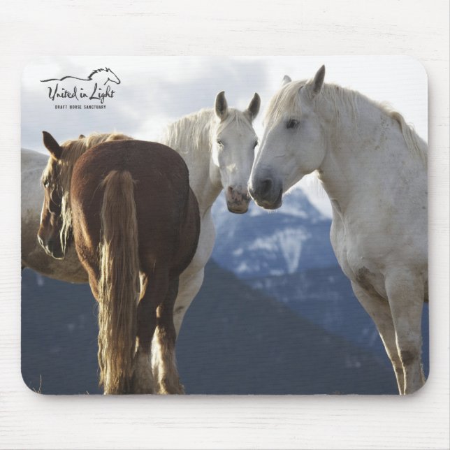 Draft horses mouse pad (Front)