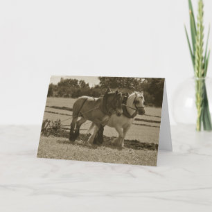 Draft horses plowing birthday card