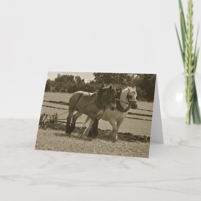 Draft horses plowing birthday card (Front)