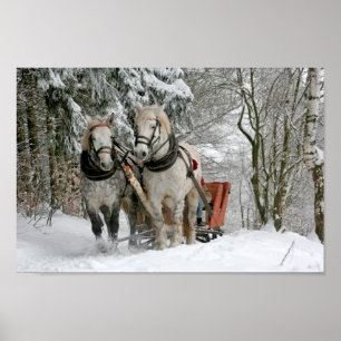 Draft Horses Pulling Sleigh Poster