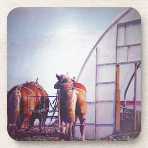 Draft Horses Ready For Work Drink Coaster