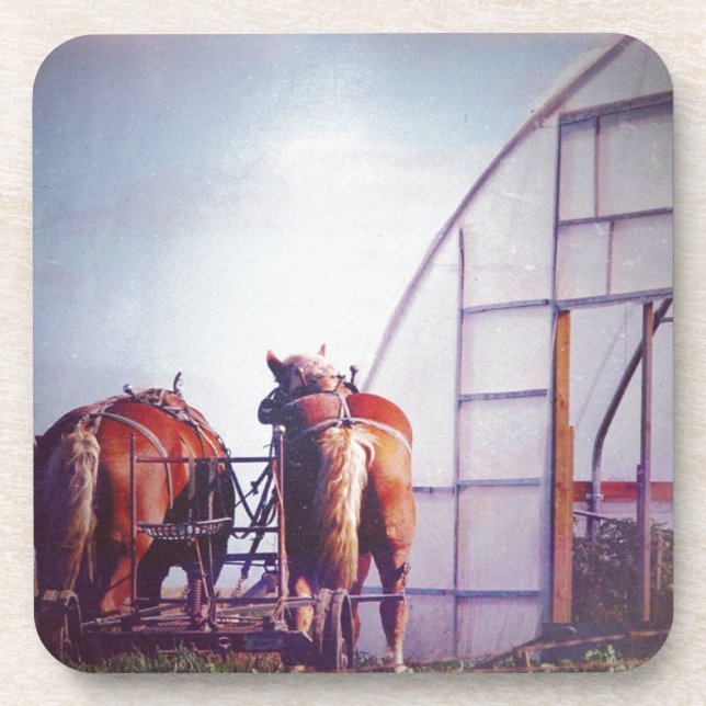 Draft Horses Ready For Work Drink Coaster (Front)