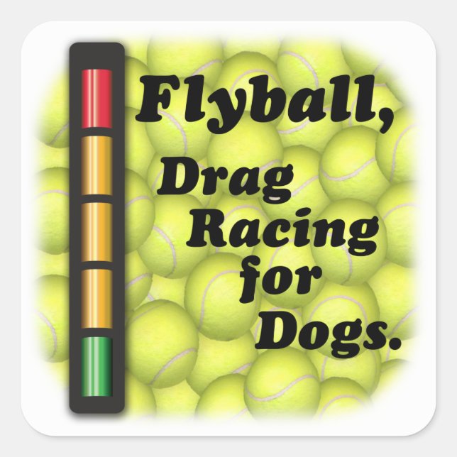 Drag Racing for Dogs Square Sticker (Front)