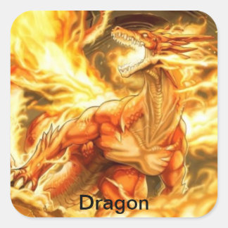 dragon adhesive square sticker