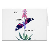 dragon and cactus (Front Horizontal)