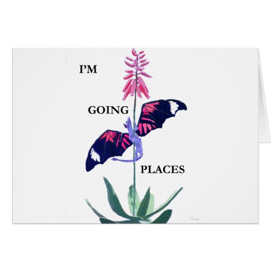 dragon and cactus cards (Front Horizontal)