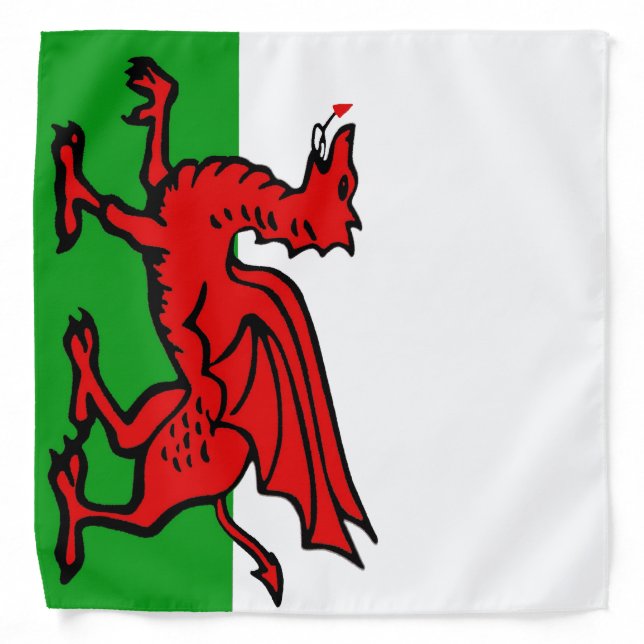 Dragon bandanas. bandana (Front)