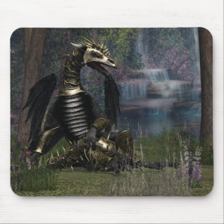 Dragon beauty mouse pad