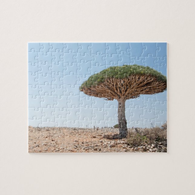 Dragon Blood Tree Jigsaw Puzzle (Horizontal)