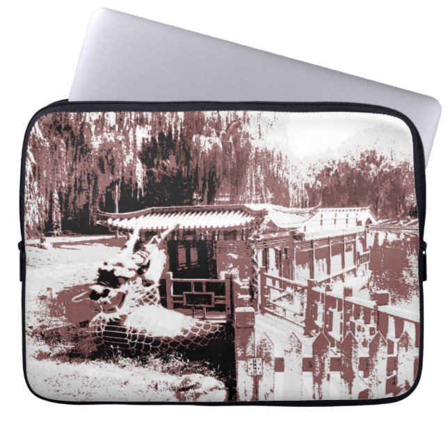 Dragon Boat Electronics Bag (Front)