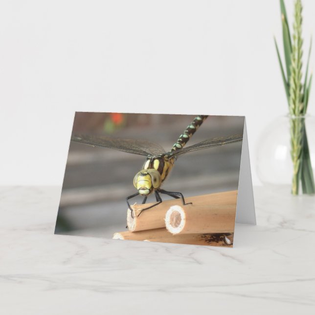 Dragon Card (Front)