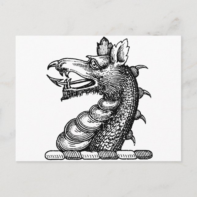 Dragon Clothing 9 Postcard (Front)