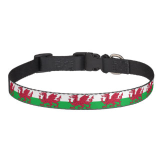 Dragon Collar