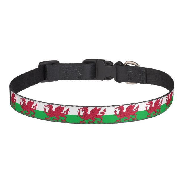 Dragon Collar (Front)