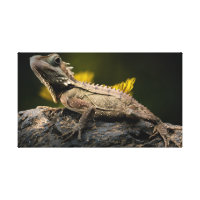 dragon. Emar Design Canvas Print