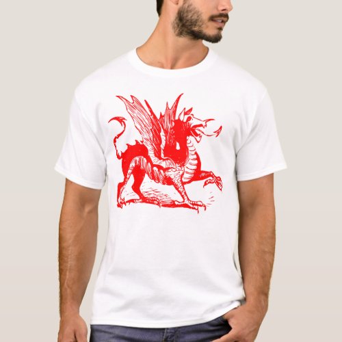Dragon Engraving _ Red T_Shirt