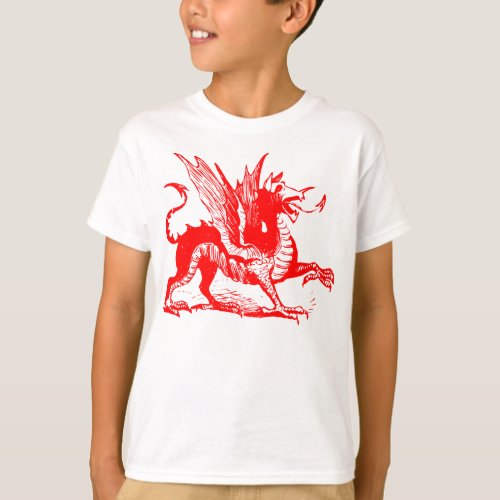 Dragon Engraving _ Red T_Shirt