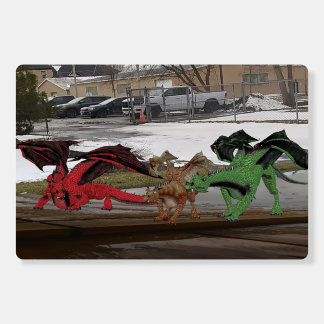 Dragon Family Foam Boards