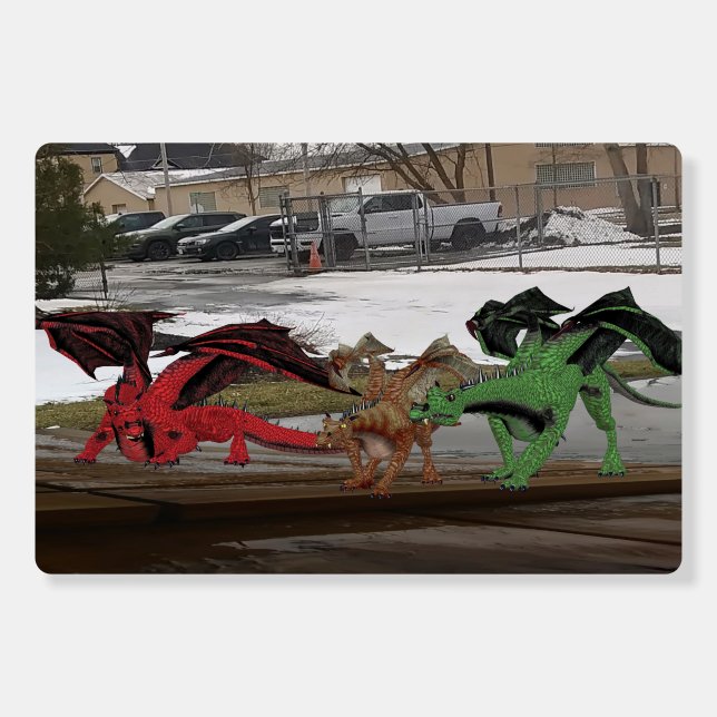 Dragon Family Foam Boards (Front)