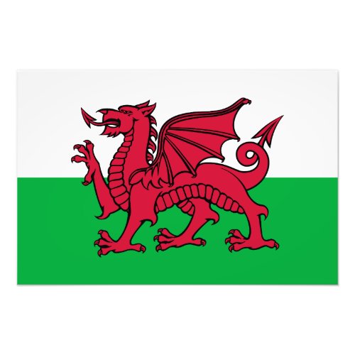 Dragon Flag of Wales Celtic Welsh National Flag Photo Print