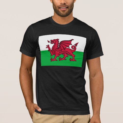 Dragon Flag of Wales Celtic Welsh National Flag T_Shirt