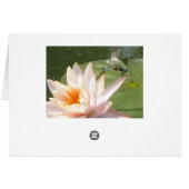 Dragon fly cards (Back Horizontal)