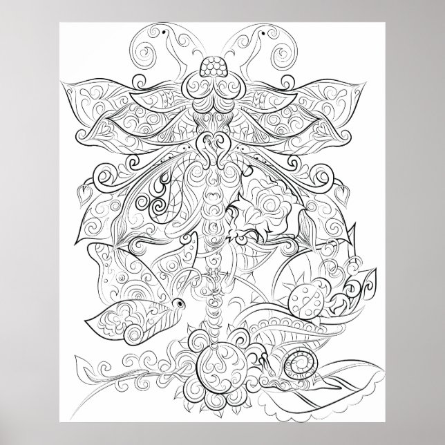 Dragon fly drawing adult colouring poster (Front)