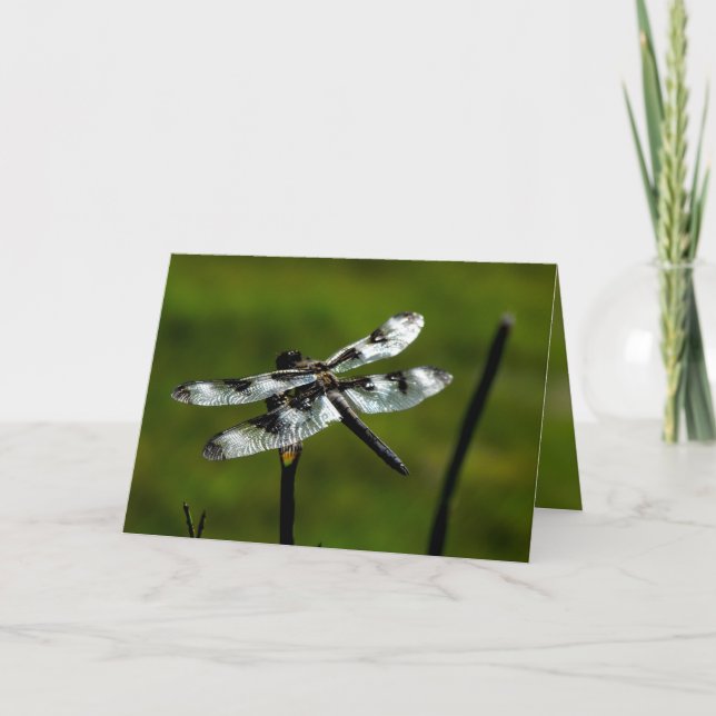 Dragon Fly Greeting Cards (Front)