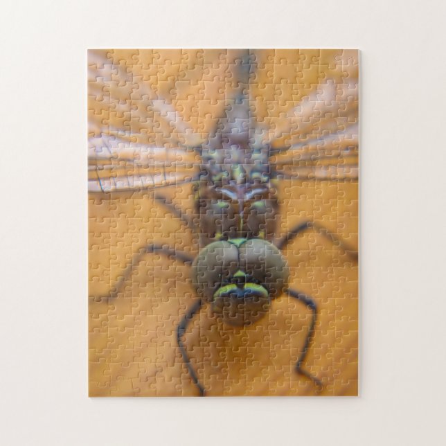 dragon fly jigsaw puzzle (Vertical)