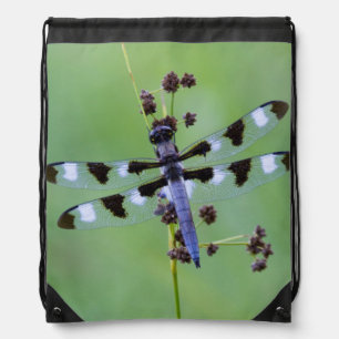 Dragon fly perched on grass, Canada Drawstring Bag