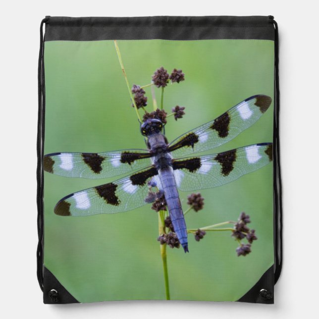 Dragon fly perched on grass, Canada Drawstring Bag (Front)